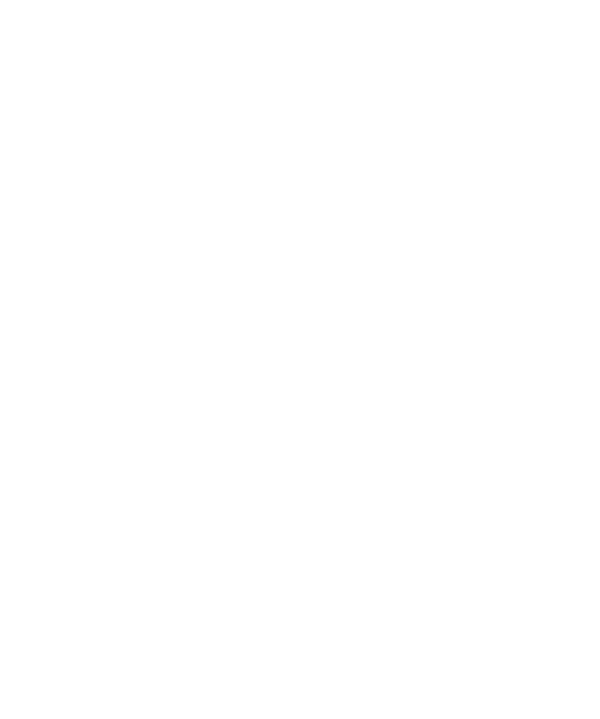 Sci-Fly-Discs
